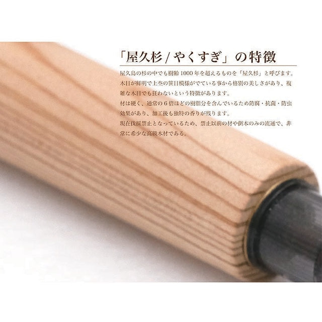 World Rare Tree Brush Pen Yakusugi/Yakusugi TFP1810 be with ink cartridge