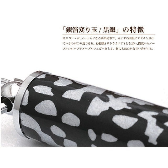 Elegant traditional beauty of Mino Washi Yuzen pattern pill case/medicine case gold leaf trinket TM1906 black x silver